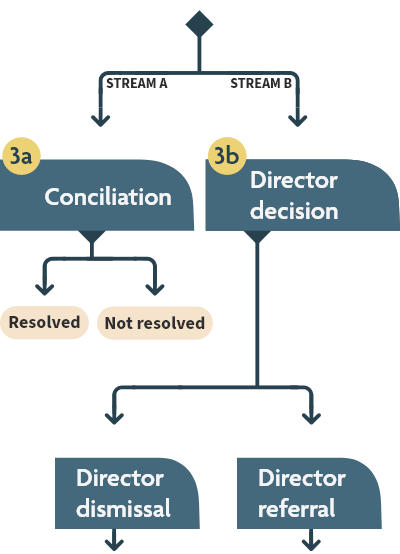 Flow chart showing the conciliation, director decision, director dismissal, and director referral steps, as described in the text version linked at the top of the page.